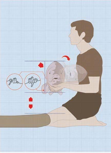 Teorie - Pentru fotografii reusite;)
